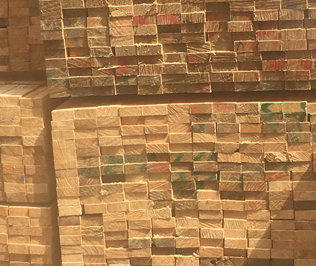 新丰新西兰进口松木